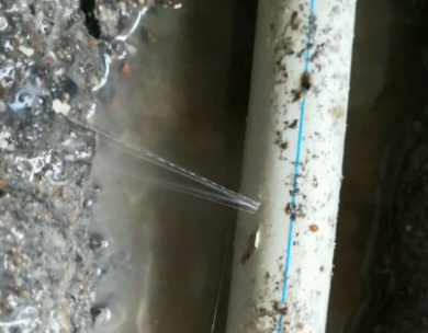 瀍河测漏水哪家好