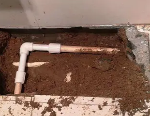 瀍河测漏水哪家好