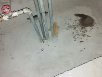 瀍河卫生间测漏水价格明细