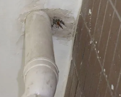 瀍河漏水检测哪家好